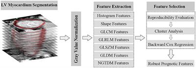 Prognostic Value of Late Enhanced Cardiac Magnetic Resonance Imaging Derived Texture Features in Dilated Cardiomyopathy Patients With Severely Reduced Ejection Fractions